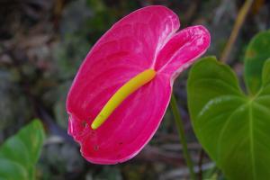 post-1234-062368000 1313319128_thumb.jpg