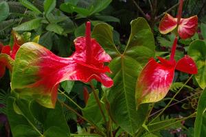 post-1234-064090100 1313052960_thumb.jpg