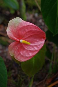 post-1234-064796300 1314876962_thumb.jpg