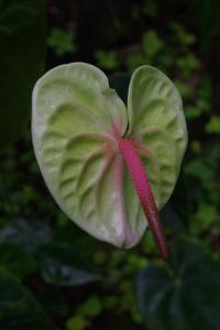 post-1234-068483100 1323063706_thumb.jpg