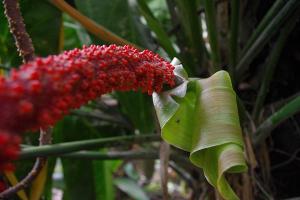 post-1234-070111000 1312982089_thumb.jpg