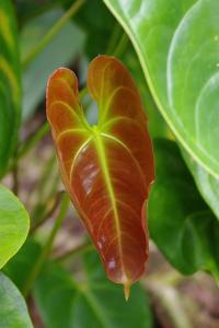 post-1234-074267900 1314876995_thumb.jpg