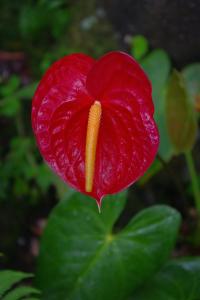 post-1234-090035600 1321359325_thumb.jpg