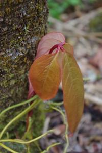 post-1234-092344500 1316855949_thumb.jpg