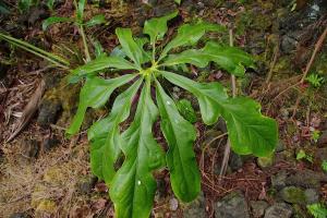 post-1234-095994300 1315031054_thumb.jpg