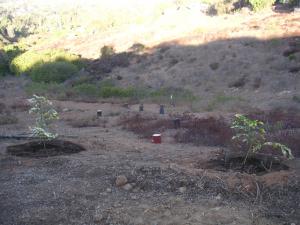 post-126-012084600 1319137708_thumb.jpg