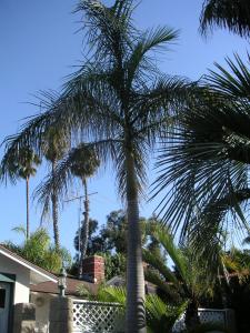 post-126-016279500 1327016404_thumb.jpg