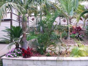 post-126-018907600 1326389309_thumb.jpg