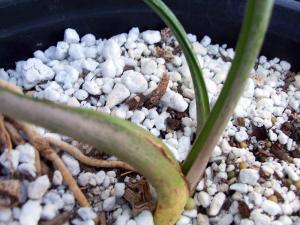 post-126-033758100 1321464935_thumb.jpg