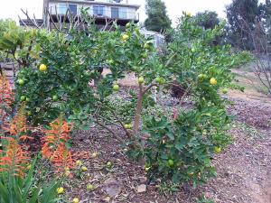 post-126-037417100 1326388755_thumb.jpg