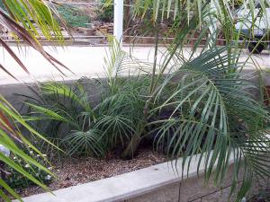 post-126-038536100 1326389326_thumb.jpg