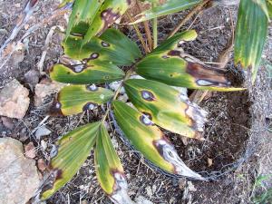 post-126-059834800 1328288707_thumb.jpg