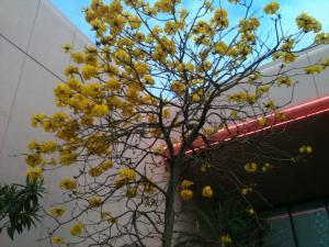 post-126-065814500 1329330423_thumb.jpg