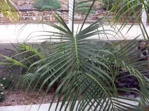 post-126-069190900 1326389330_thumb.jpg