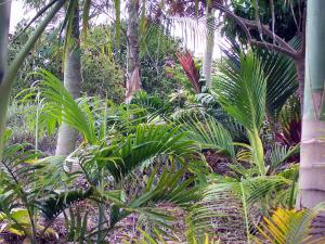 post-126-069660300 1322588526_thumb.jpg