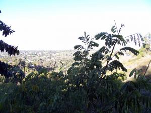 post-126-071064200 1330022510_thumb.jpg