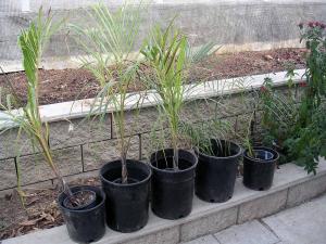 post-126-077581000 1326399229_thumb.jpg