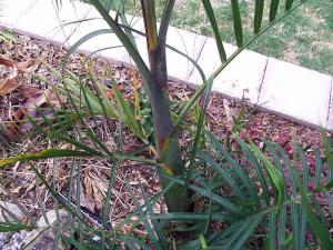 post-126-082110900 1326389317_thumb.jpg