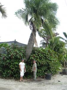 post-126-084888000 1315938991_thumb.jpg