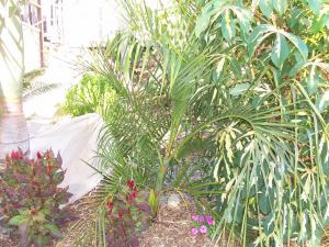 post-126-095346500 1313514524_thumb.jpg