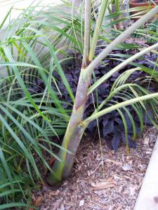 post-126-096600000 1326389334_thumb.jpg