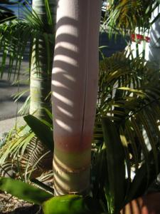 post-126-1158606997_thumb.jpg