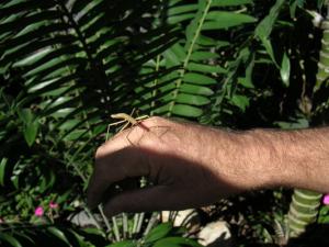 post-126-1158607288_thumb.jpg