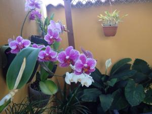 post-12603-0-09447700-1437674623_thumb.j