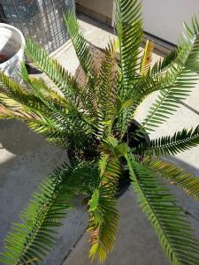 post-1262-0-57687800-1368299694_thumb.jp