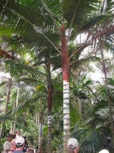 post-1262-019452500 1333409525_thumb.jpg