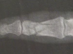 post-1262-033923300 1336969586_thumb.jpg