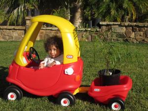 post-1262-056104500 1332930288_thumb.jpg