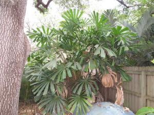 post-1262-072157000 1333409517_thumb.jpg