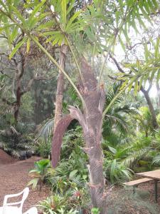 post-1262-073306200 1333409472_thumb.jpg