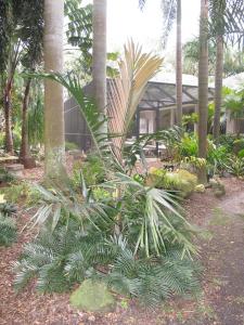 post-1262-077554900 1333409459_thumb.jpg