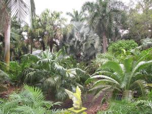 post-1262-088119400 1333409499_thumb.jpg