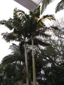 post-1262-098577400 1333409534_thumb.jpg