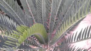 post-1270-060592500 1322955097_thumb.jpg