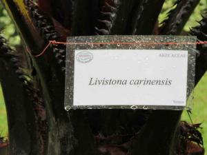 post-1300-0-04733400-1349328457_thumb.jp