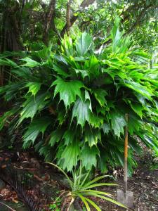 post-1300-0-07543100-1413665101_thumb.jp