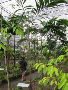 post-1300-0-10545700-1349162935_thumb.jp