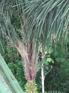 post-1300-0-17188000-1343615744_thumb.jp