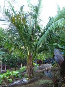 post-1300-0-18058900-1423552781_thumb.jp