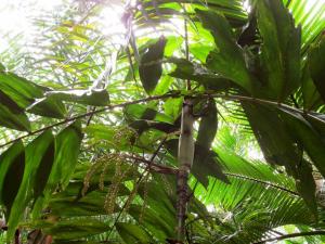 post-1300-0-30754700-1349162495_thumb.jp