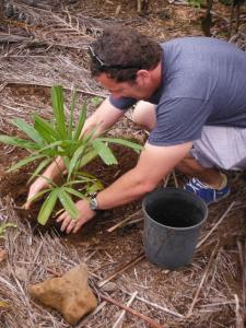 post-1300-0-47242300-1432969287_thumb.jp