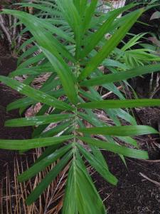 post-1300-0-66830600-1388272977_thumb.jp