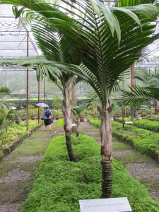 post-1300-0-75844600-1349162931_thumb.jp