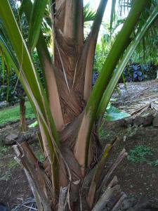 post-1300-0-85506200-1423552777_thumb.jp