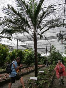 post-1300-0-87077500-1349163237_thumb.jp