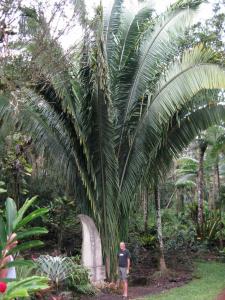 post-1300-035904500 1325530476_thumb.jpg